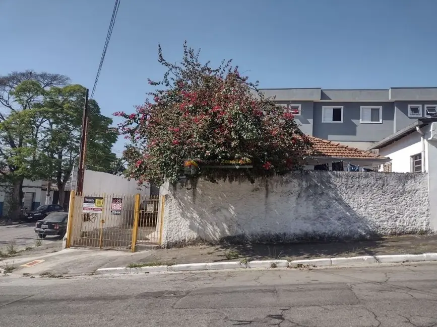 Foto 5 de Casa com 2 quartos à venda, 160m2 em Vila Ré, São Paulo - SP