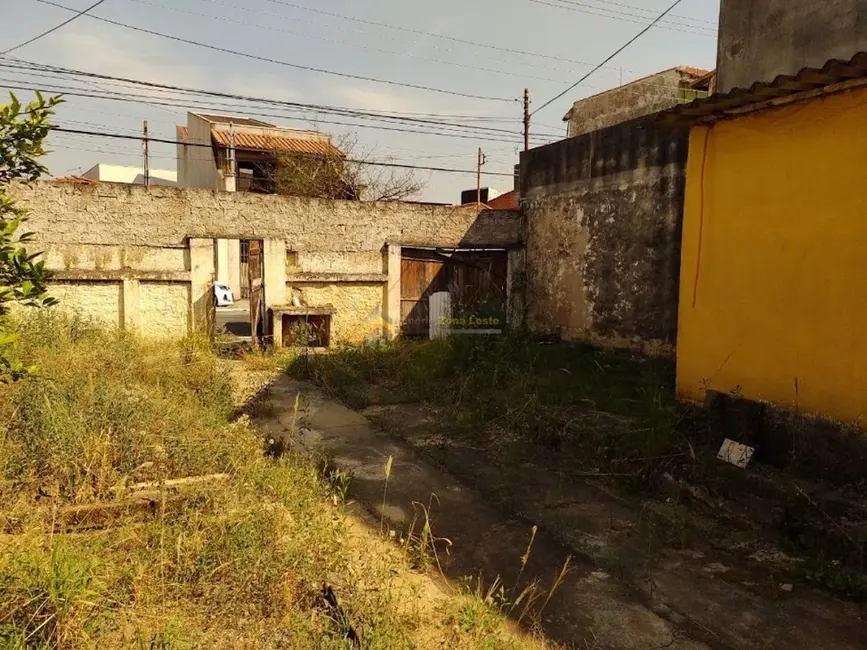 Foto 4 de Terreno / Lote à venda, 250m2 em Parque Maria Luiza, São Paulo - SP