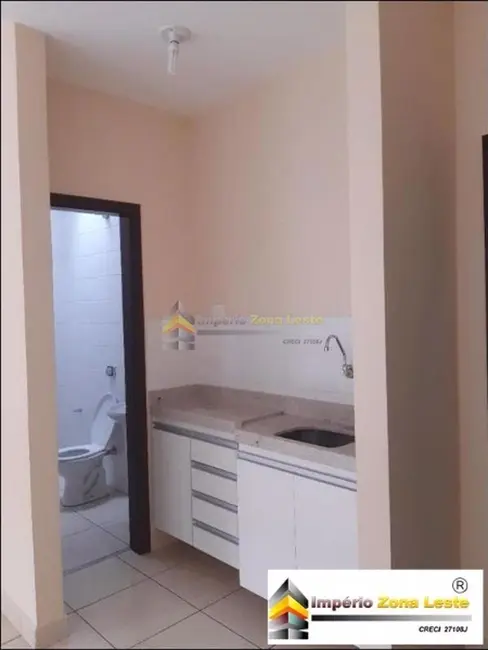 Sala Comercial para alugar, 29m2 em Vila Formosa, São Paulo - SP - imagem 5 Foto 5 de Sala Comercial para alugar, 29m2 em Vila Formosa, São Paulo - SP