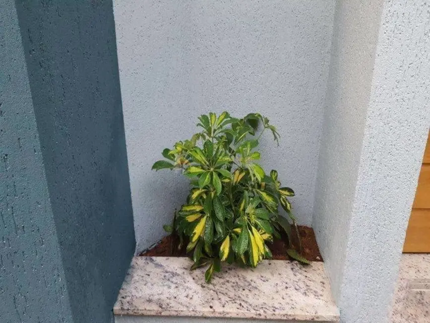 Sobrado com 2 quartos à venda, 57m2 em Vila Mesquita, São Paulo - SP - imagem 2 Foto 2 de Sobrado com 2 quartos à venda, 57m2 em Vila Mesquita, São Paulo - SP