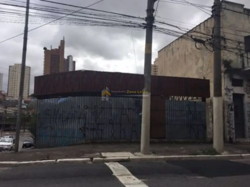 Foto 2 de Terreno / Lote à venda e para alugar, 350m2 em Vila Regente Feijó, São Paulo - SP