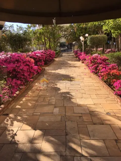 Foto 8 de Apartamento com 3 quartos à venda, 65m2 em Vila Granada, São Paulo - SP