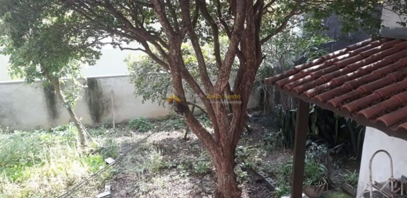 Terreno / Lote à venda, 300m2 em Cidade Patriarca, São Paulo - SP - imagem 6 Foto 6 de Terreno / Lote à venda, 300m2 em Cidade Patriarca, São Paulo - SP