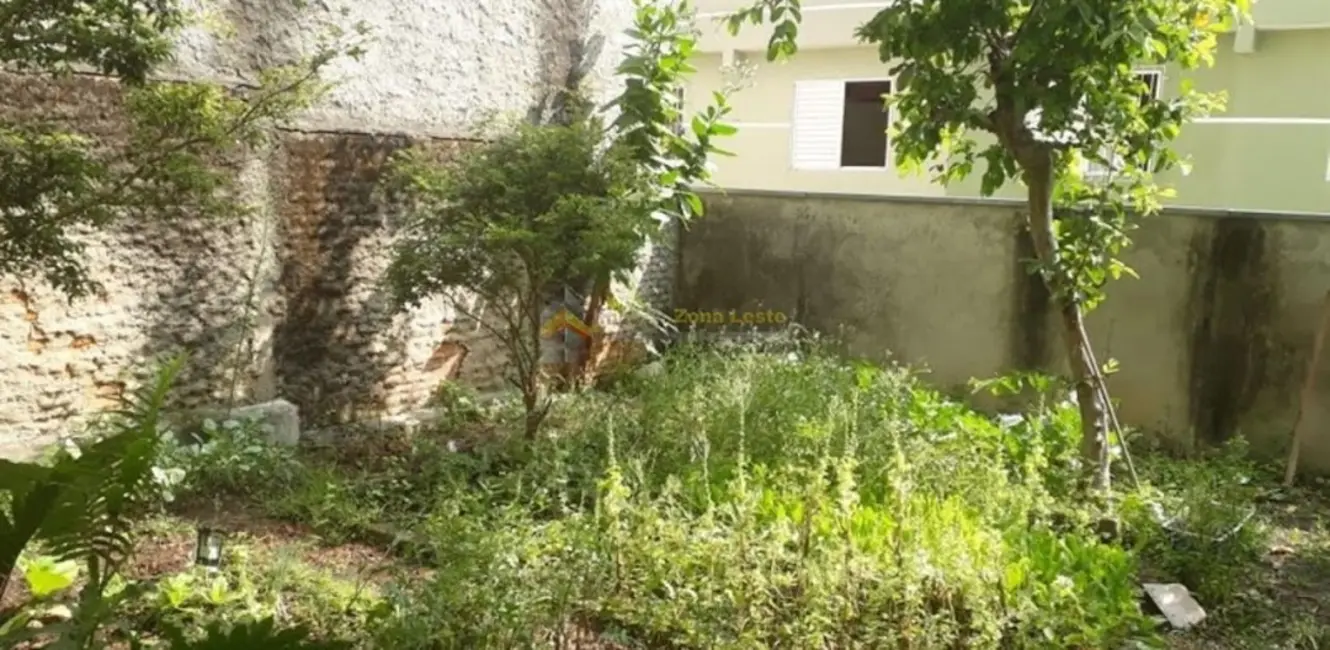 Terreno / Lote à venda, 300m2 em Cidade Patriarca, São Paulo - SP - imagem 5 Foto 5 de Terreno / Lote à venda, 300m2 em Cidade Patriarca, São Paulo - SP