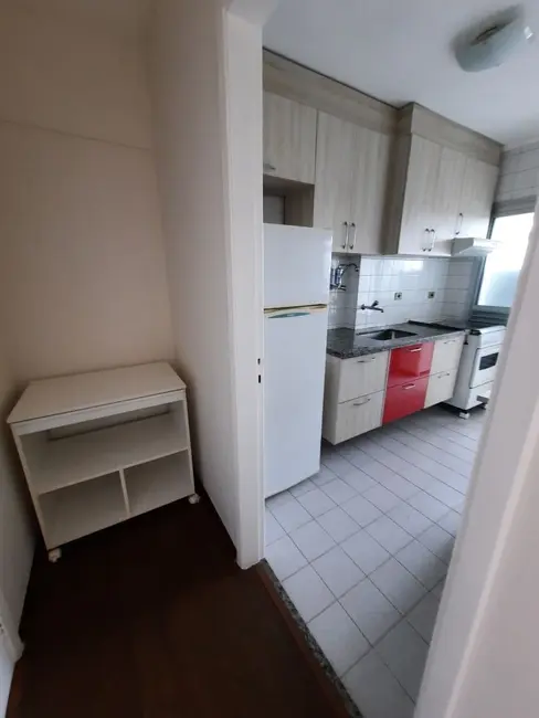 Foto 4 de Apartamento com 2 quartos para alugar, 57m2 em Vila Antonina, São Paulo - SP