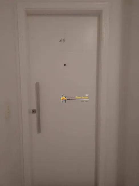 Foto 2 de Apartamento com 2 quartos à venda, 42m2 em Vila Moreira, São Paulo - SP