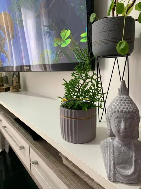 Apartamento com 2 quartos à venda, 64m2 em Parque Cruzeiro do Sul, São Paulo - SP - imagem 4 Foto 4 de Apartamento com 2 quartos à venda, 64m2 em Parque Cruzeiro do Sul, São Paulo - SP