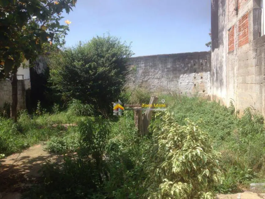 Foto 5 de Terreno / Lote à venda, 228m2 em Vila Santa Teresinha, São Paulo - SP