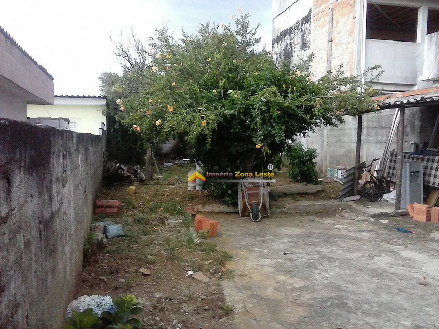 Foto 4 de Terreno / Lote à venda, 228m2 em Vila Santa Teresinha, São Paulo - SP