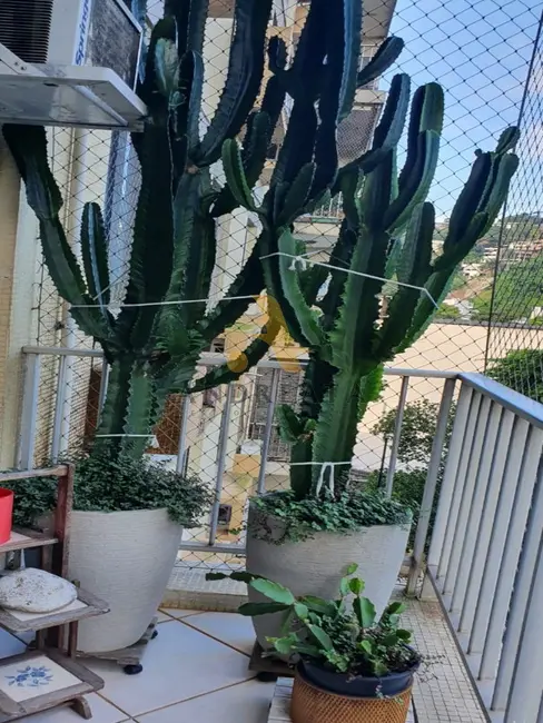 Foto 5 de Apartamento com 2 quartos à venda, 79m2 em Barra da Tijuca, Rio De Janeiro - RJ