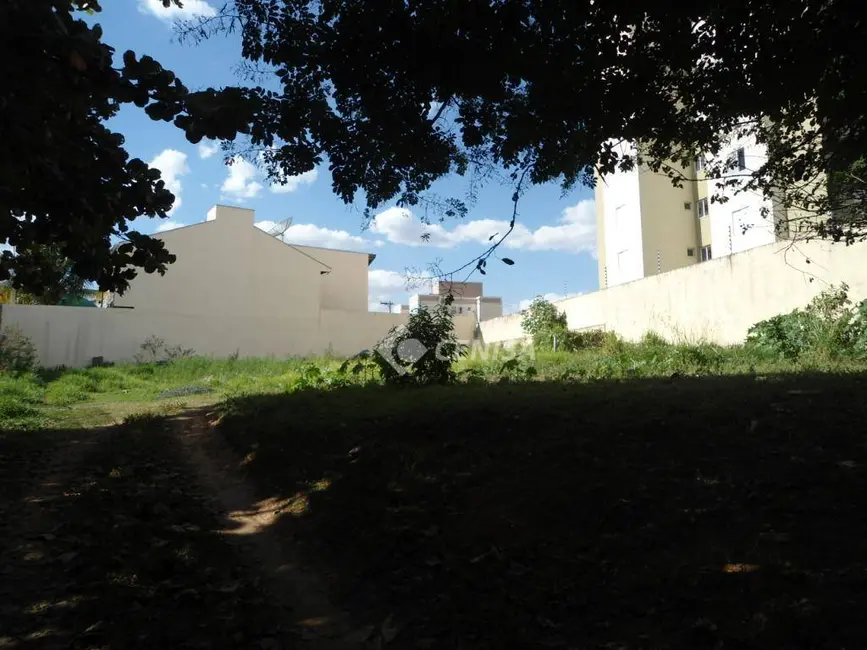 Foto 6 de Chácara com 4 quartos à venda, 29402m2 em Vila Aurora, Indaiatuba - SP