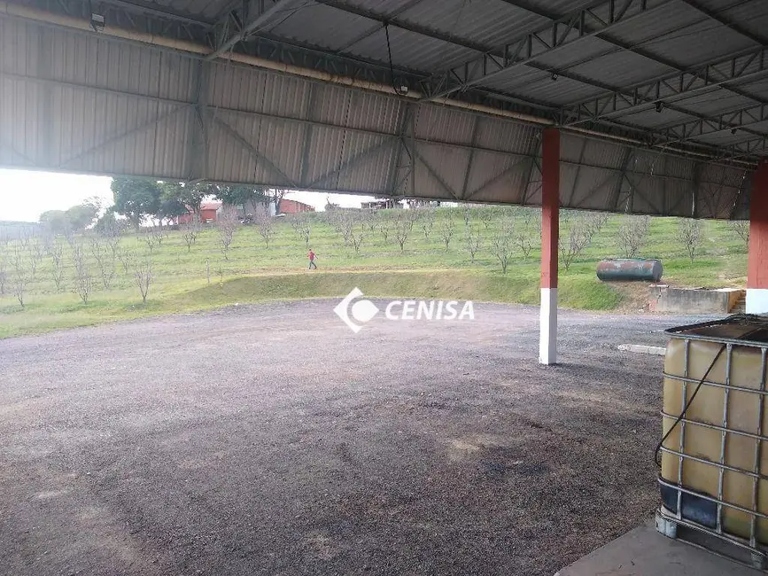 Armazém / Galpão para alugar, 1900m2 em Chácaras Videiras de Itaici, Indaiatuba - SP - imagem 7 Foto 7 de Armazém / Galpão para alugar, 1900m2 em Chácaras Videiras de Itaici, Indaiatuba - SP