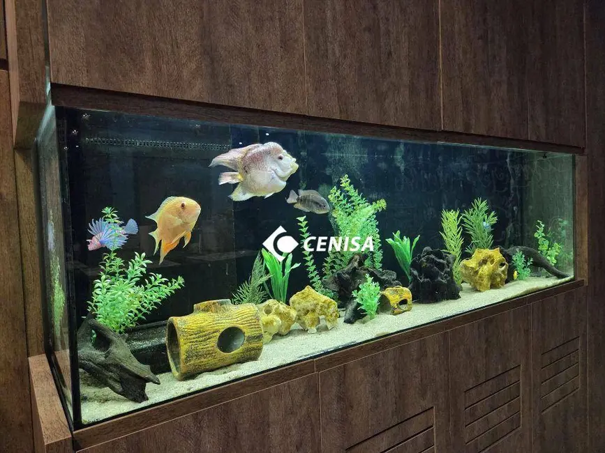 Foto 5 de Casa de Condomínio com 3 quartos à venda, 300m2 em Jardim Esplanada, Indaiatuba - SP