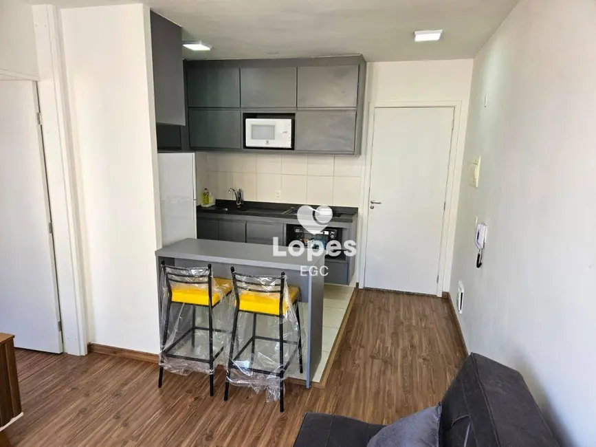 Foto 4 de Apartamento com 1 quarto para alugar, 35m2 em Mooca, São Paulo - SP