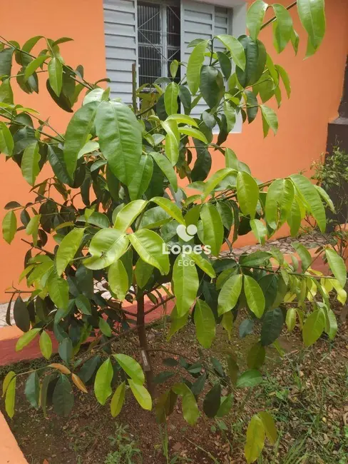 Casa com 2 quartos à venda, 243m2 em Vila São Nicolau, São Paulo - SP - imagem 5 Foto 5 de Casa com 2 quartos à venda, 243m2 em Vila São Nicolau, São Paulo - SP