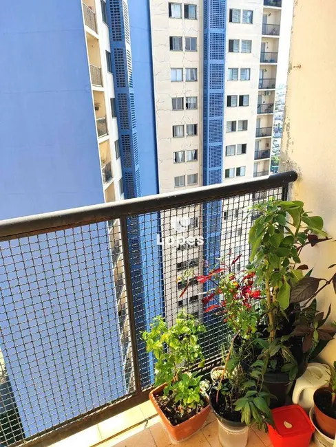 Foto 8 de Apartamento com 3 quartos à venda, 78m2 em Sítio Pinheirinho, São Paulo - SP