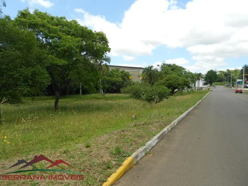 Terreno / Lote à venda, 200m2 em Nova Petropolis - RS - imagem 2 Foto 2 de Terreno / Lote à venda, 200m2 em Nova Petropolis - RS