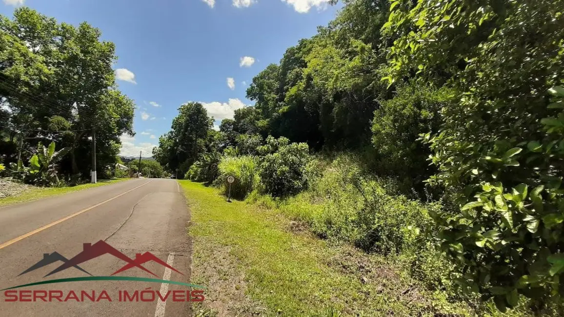 Terreno / Lote à venda, 10000m2 em Picada Cafe - RS - imagem 9 Foto 9 de Terreno / Lote à venda, 10000m2 em Picada Cafe - RS