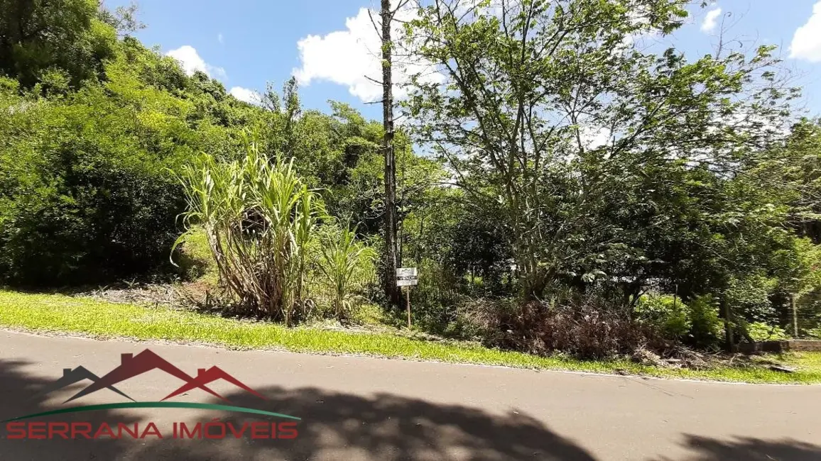 Terreno / Lote à venda, 10000m2 em Picada Cafe - RS - imagem 7 Foto 7 de Terreno / Lote à venda, 10000m2 em Picada Cafe - RS