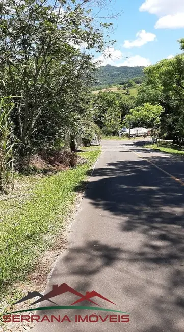 Terreno / Lote à venda, 10000m2 em Picada Cafe - RS - imagem 3 Foto 3 de Terreno / Lote à venda, 10000m2 em Picada Cafe - RS