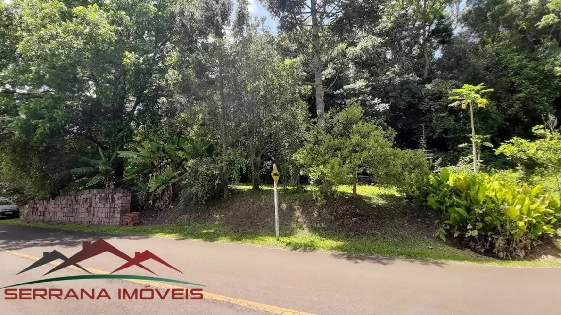 Terreno / Lote à venda, 10000m2 em Picada Cafe - RS - imagem 5 Foto 5 de Terreno / Lote à venda, 10000m2 em Picada Cafe - RS