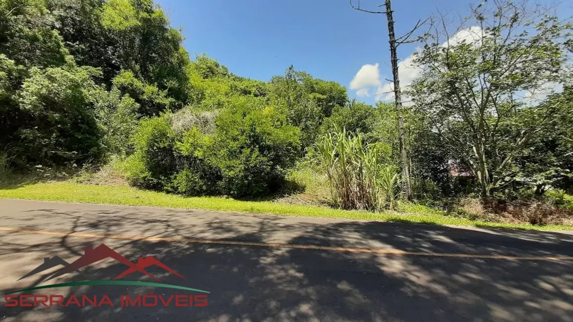 Terreno / Lote à venda, 10000m2 em Picada Cafe - RS - imagem 6 Foto 6 de Terreno / Lote à venda, 10000m2 em Picada Cafe - RS