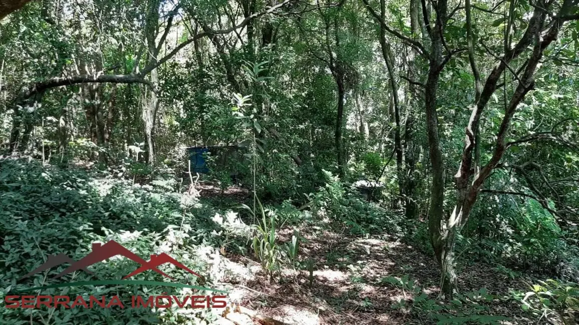 Terreno / Lote à venda, 10000m2 em Picada Cafe - RS - imagem 8 Foto 8 de Terreno / Lote à venda, 10000m2 em Picada Cafe - RS