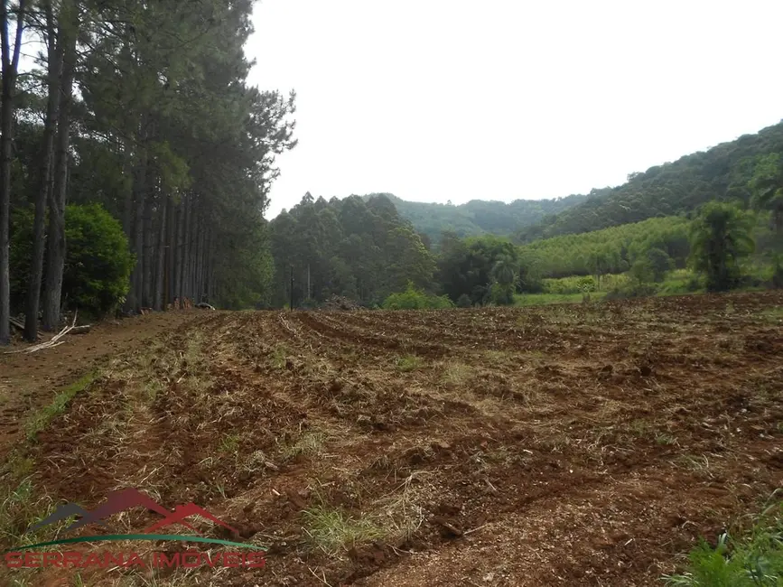 Foto 4 de Chácara com 3 quartos à venda, 150m2 em Nova Petropolis - RS