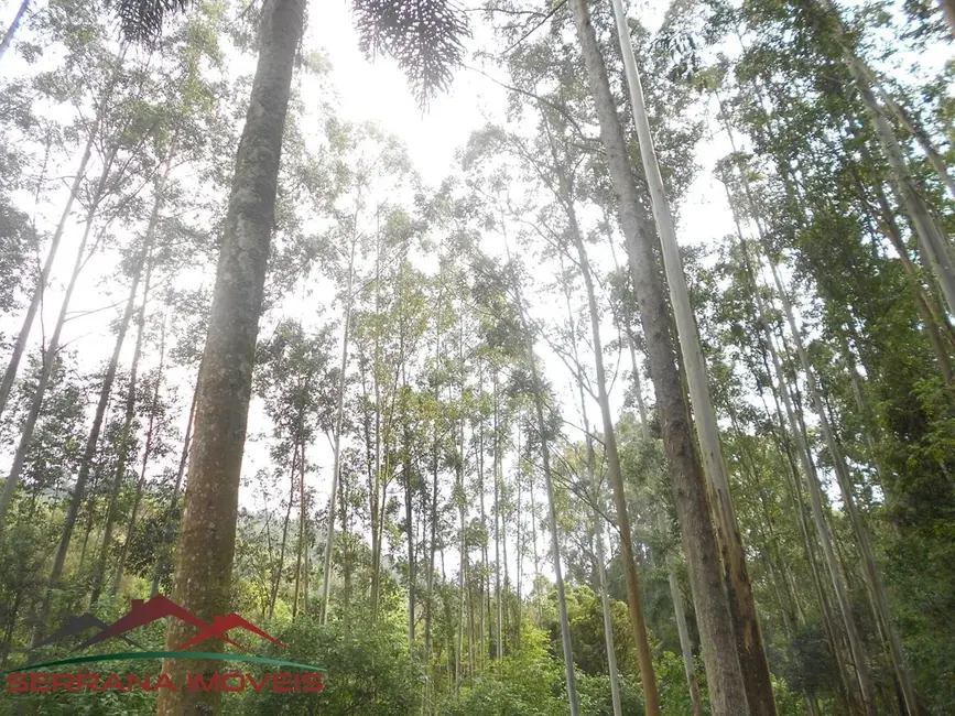 Foto 5 de Chácara com 3 quartos à venda, 150m2 em Nova Petropolis - RS