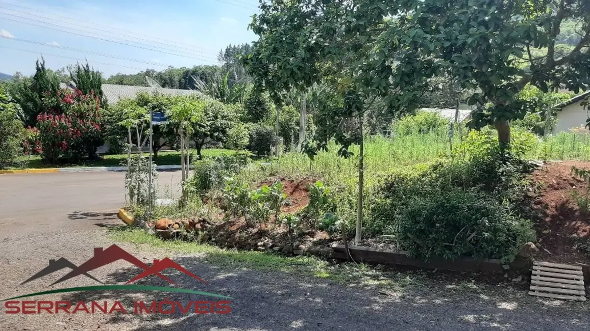 Terreno / Lote à venda, 387m2 em Picada Cafe - RS - imagem 3 Foto 3 de Terreno / Lote à venda, 387m2 em Picada Cafe - RS