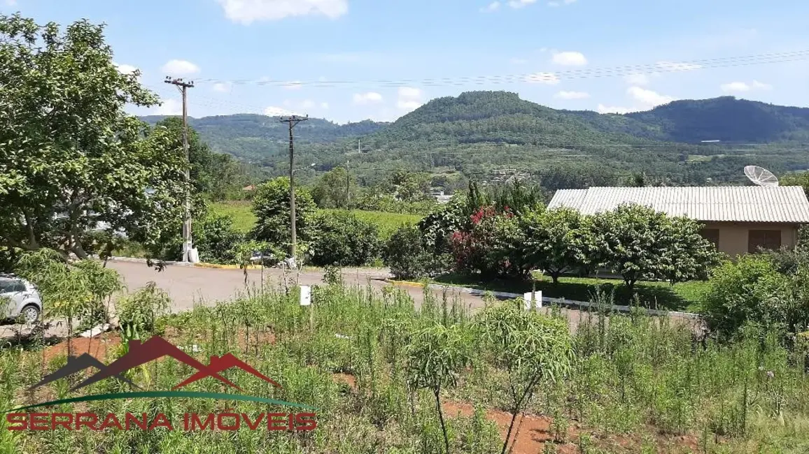 Terreno / Lote à venda, 387m2 em Picada Cafe - RS - imagem 5 Foto 5 de Terreno / Lote à venda, 387m2 em Picada Cafe - RS