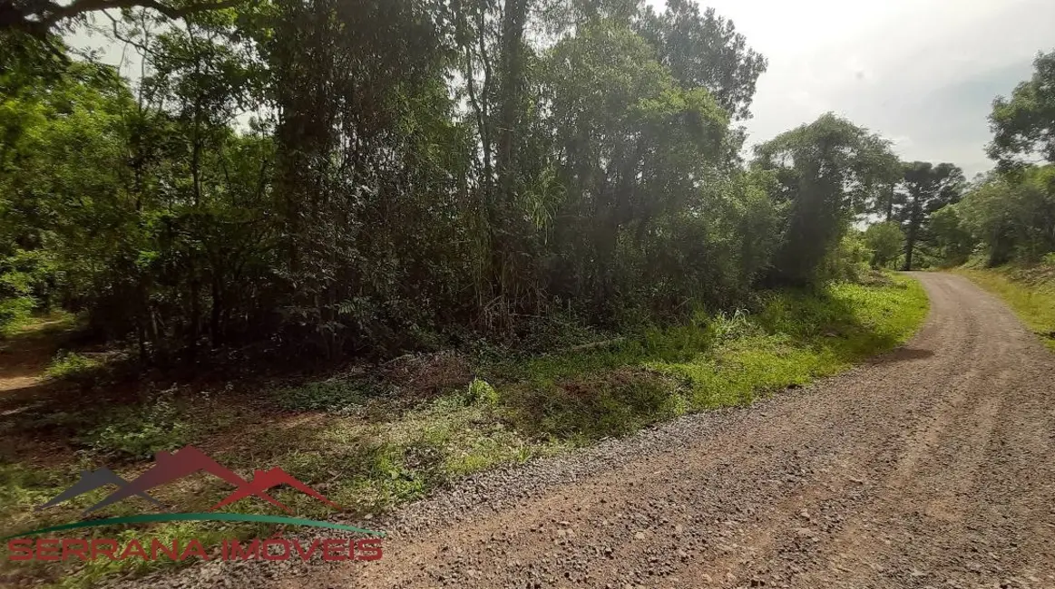 Terreno / Lote à venda, 78000m2 em Nova Petropolis - RS - imagem 7 Foto 7 de Terreno / Lote à venda, 78000m2 em Nova Petropolis - RS