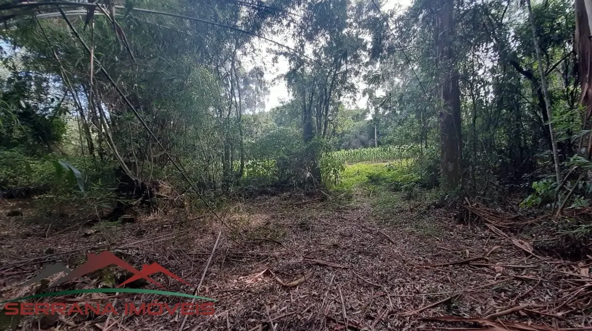 Terreno / Lote à venda, 78000m2 em Nova Petropolis - RS - imagem 9 Foto 9 de Terreno / Lote à venda, 78000m2 em Nova Petropolis - RS