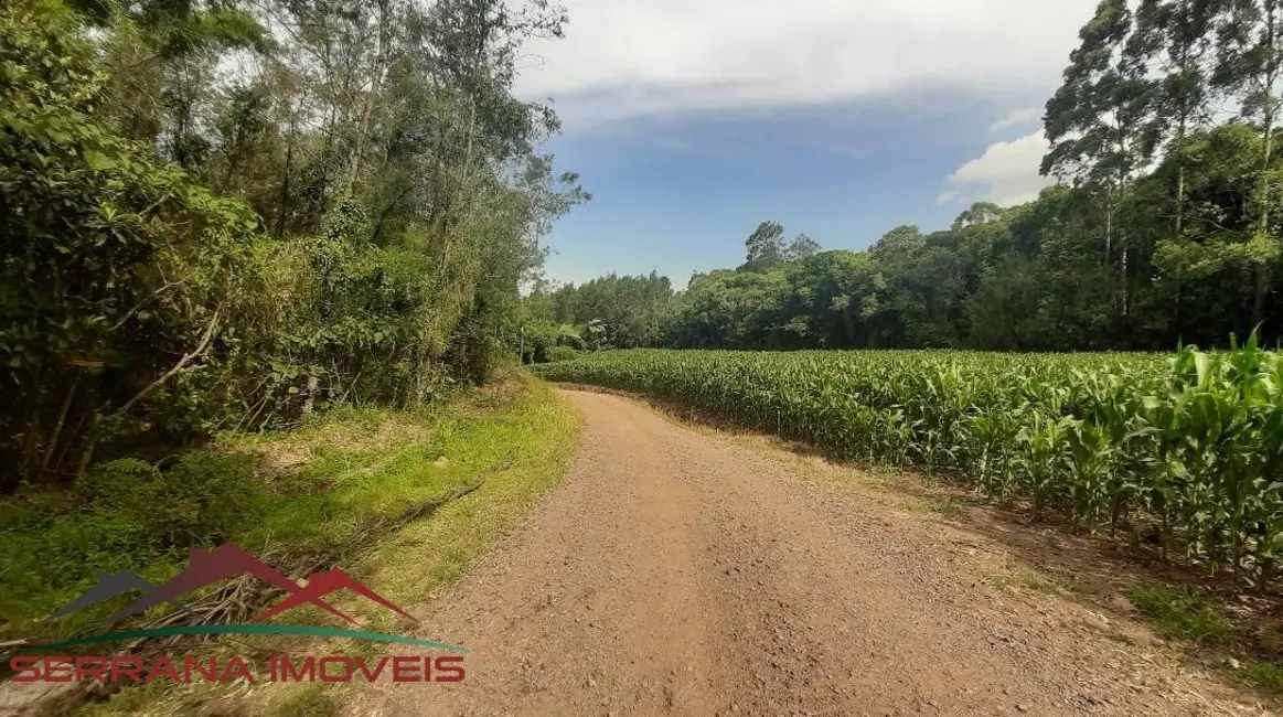 Terreno / Lote à venda, 78000m2 em Nova Petropolis - RS - imagem 2 Foto 2 de Terreno / Lote à venda, 78000m2 em Nova Petropolis - RS