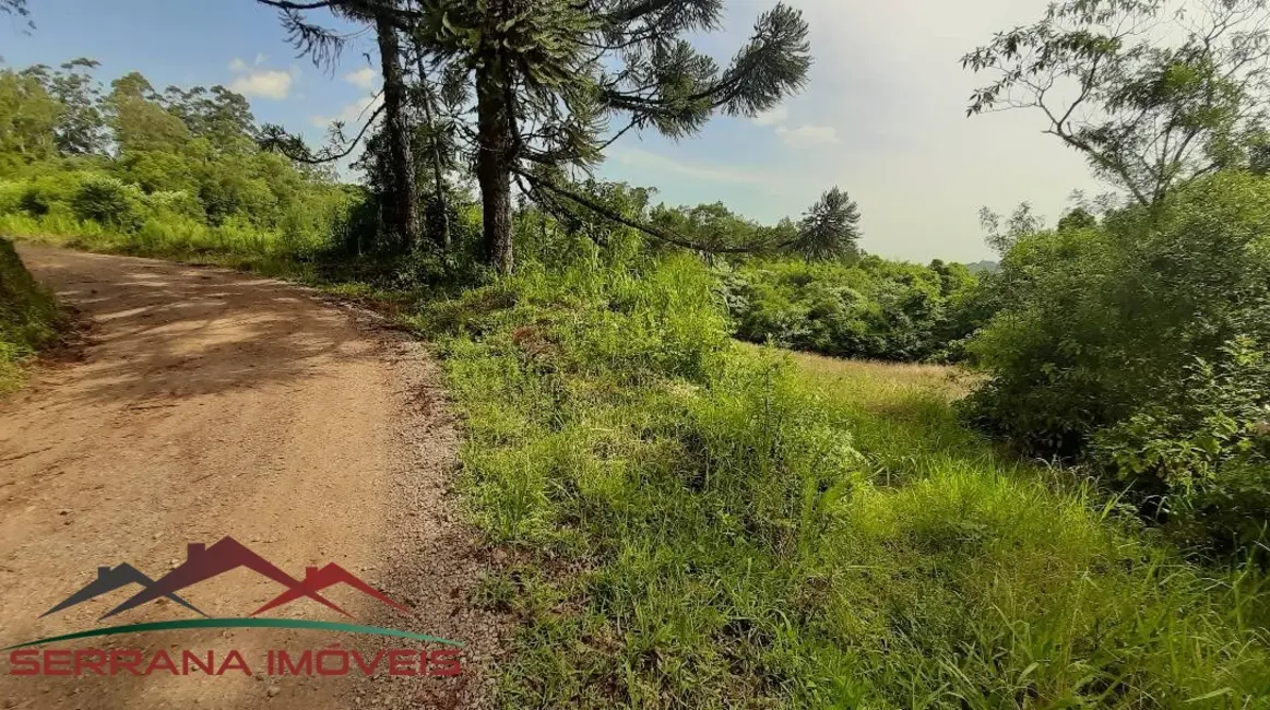 Terreno / Lote à venda, 78000m2 em Nova Petropolis - RS - imagem 3 Foto 3 de Terreno / Lote à venda, 78000m2 em Nova Petropolis - RS