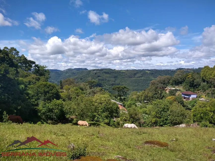 Terreno / Lote à venda, 1080m2 em Nova Petropolis - RS - imagem 8 Foto 8 de Terreno / Lote à venda, 1080m2 em Nova Petropolis - RS