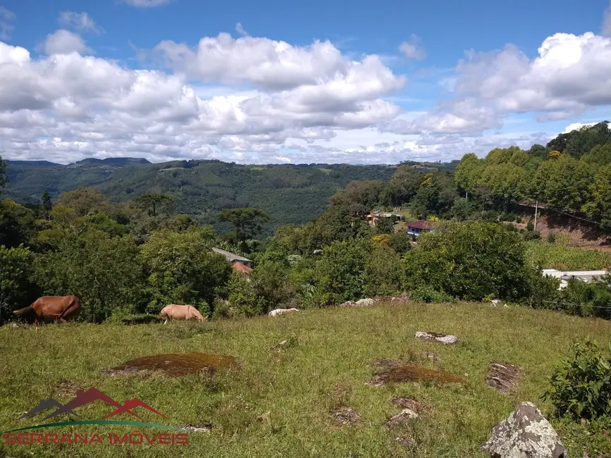 Foto 1 de Terreno / Lote à venda, 1080m2 em Nova Petropolis - RS