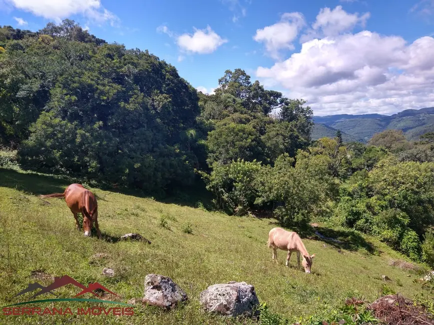 Foto 2 de Terreno / Lote à venda, 1080m2 em Nova Petropolis - RS