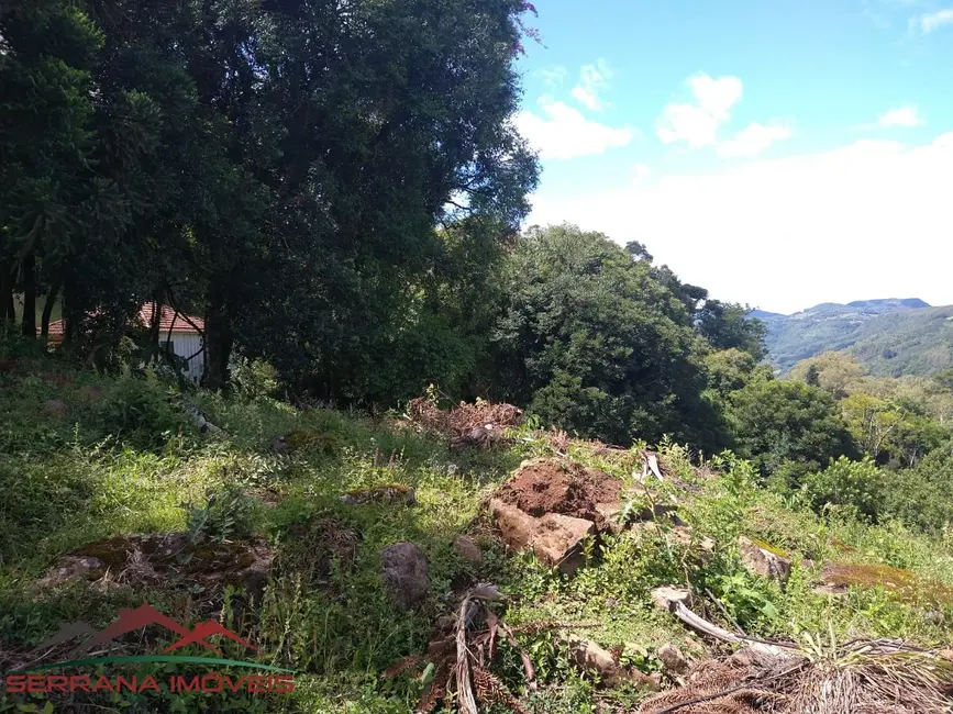 Terreno / Lote à venda, 1080m2 em Nova Petropolis - RS - imagem 9 Foto 9 de Terreno / Lote à venda, 1080m2 em Nova Petropolis - RS
