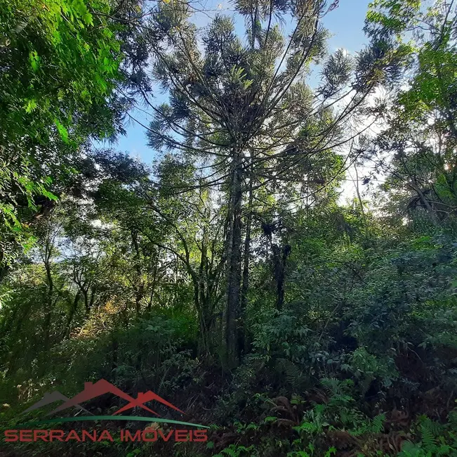 Terreno / Lote à venda, 48540m2 em Nova Petropolis - RS - imagem 3 Foto 3 de Terreno / Lote à venda, 48540m2 em Nova Petropolis - RS