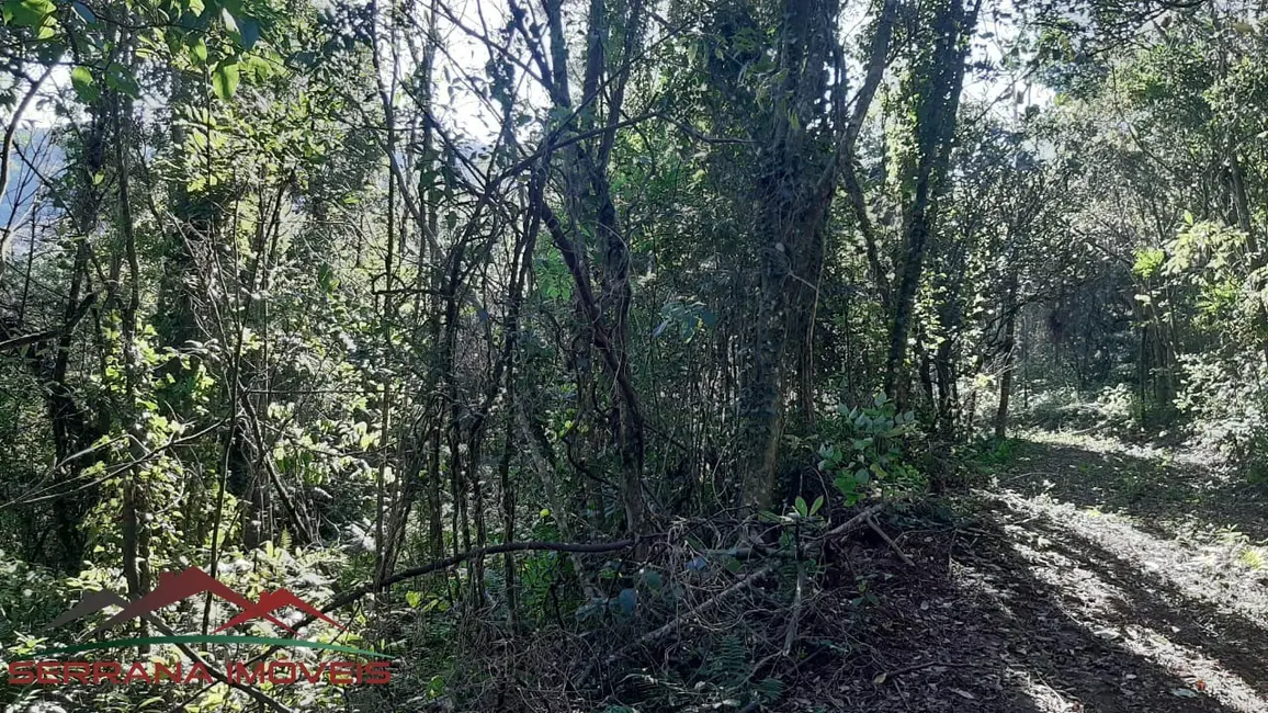 Terreno / Lote à venda, 40320m2 em Nova Petropolis - RS - imagem 9 Foto 9 de Terreno / Lote à venda, 40320m2 em Nova Petropolis - RS