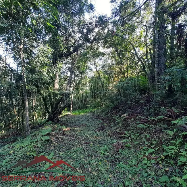 Terreno / Lote à venda, 48540m2 em Nova Petropolis - RS - imagem 7 Foto 7 de Terreno / Lote à venda, 48540m2 em Nova Petropolis - RS