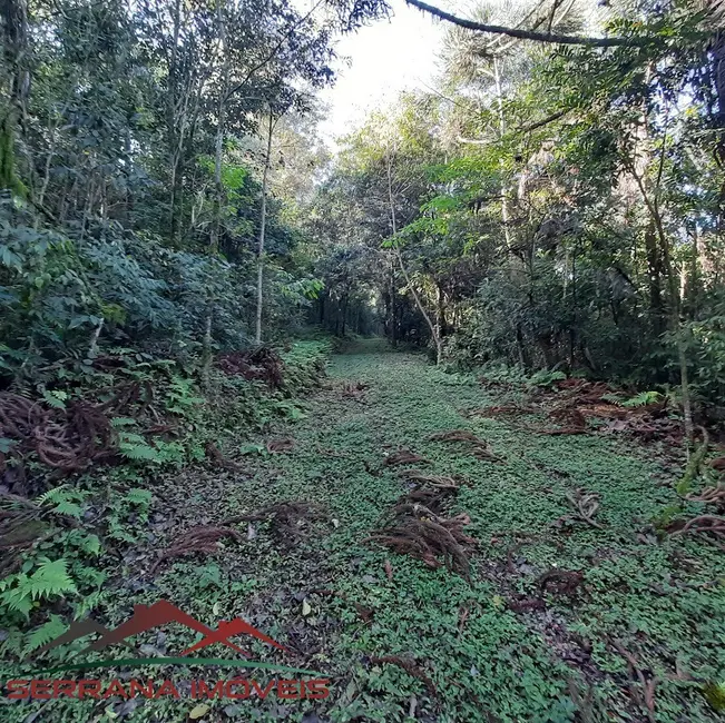 Terreno / Lote à venda, 48540m2 em Nova Petropolis - RS - imagem 6 Foto 6 de Terreno / Lote à venda, 48540m2 em Nova Petropolis - RS