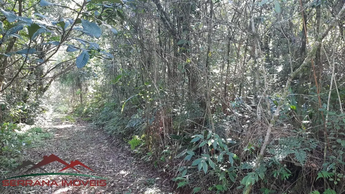 Terreno / Lote à venda, 40320m2 em Nova Petropolis - RS - imagem 4 Foto 4 de Terreno / Lote à venda, 40320m2 em Nova Petropolis - RS