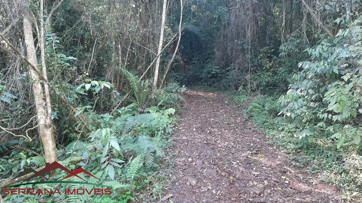 Terreno / Lote à venda, 40320m2 em Nova Petropolis - RS - imagem 5 Foto 5 de Terreno / Lote à venda, 40320m2 em Nova Petropolis - RS