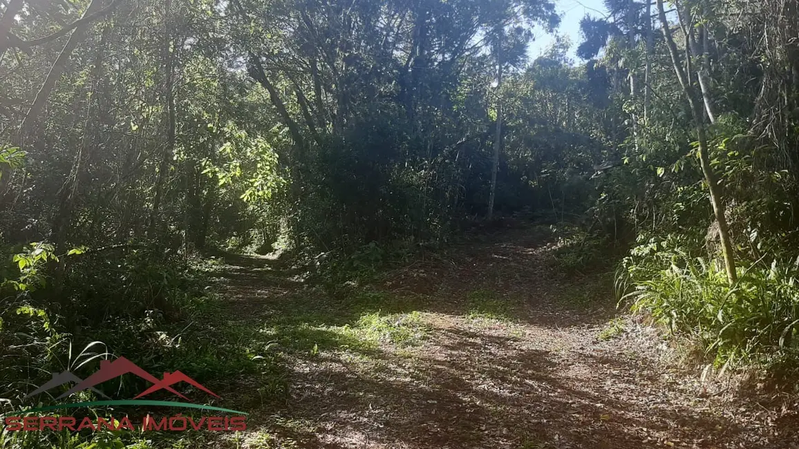 Terreno / Lote à venda, 40320m2 em Nova Petropolis - RS - imagem 7 Foto 7 de Terreno / Lote à venda, 40320m2 em Nova Petropolis - RS
