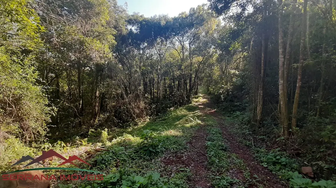 Terreno / Lote à venda, 40320m2 em Nova Petropolis - RS - imagem 6 Foto 6 de Terreno / Lote à venda, 40320m2 em Nova Petropolis - RS