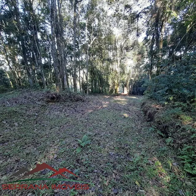 Terreno / Lote à venda, 48540m2 em Nova Petropolis - RS - imagem 8 Foto 8 de Terreno / Lote à venda, 48540m2 em Nova Petropolis - RS