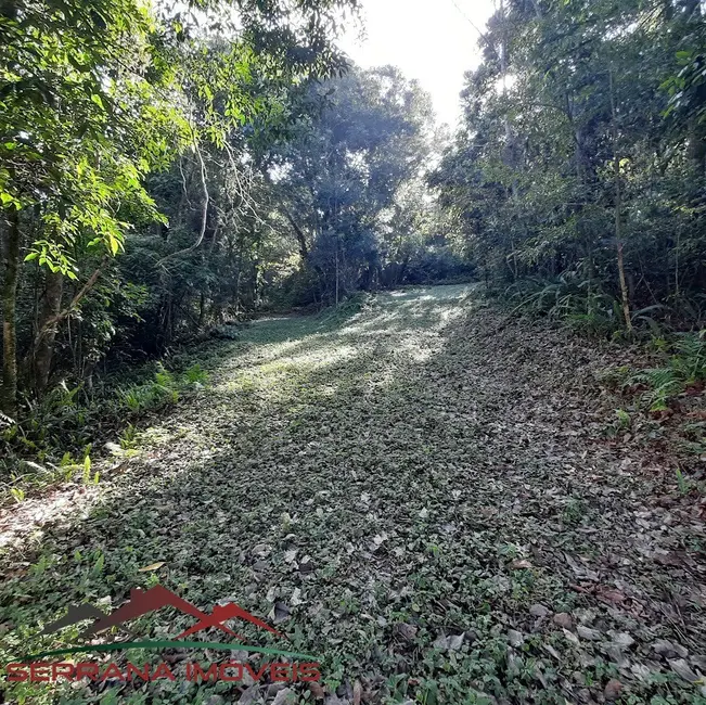 Terreno / Lote à venda, 48540m2 em Nova Petropolis - RS - imagem 2 Foto 2 de Terreno / Lote à venda, 48540m2 em Nova Petropolis - RS