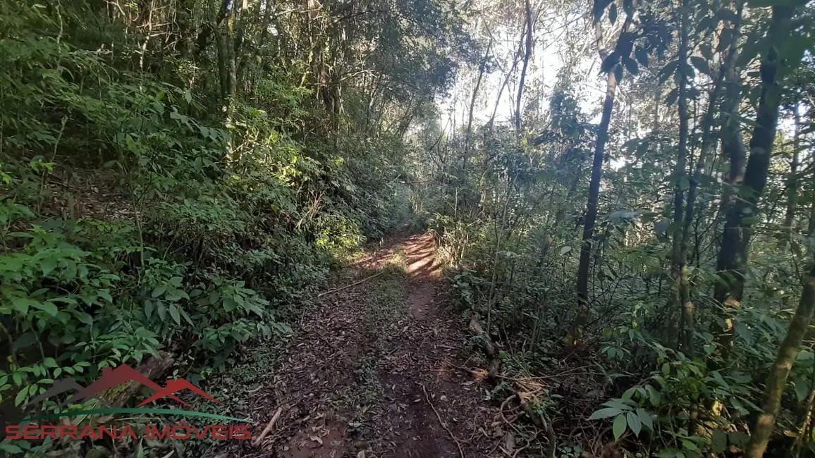 Terreno / Lote à venda, 40320m2 em Nova Petropolis - RS - imagem 8 Foto 8 de Terreno / Lote à venda, 40320m2 em Nova Petropolis - RS